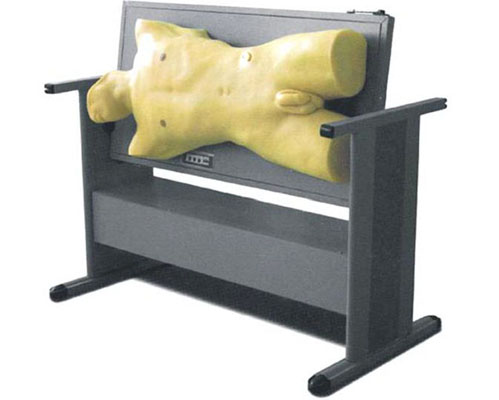 理工醫(yī)學 綜合穿刺術與叩診檢查技能訓練模型